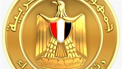 مجلس الوزراء: حادث ميناء دمياط ناتج عن طائرة مسيرة