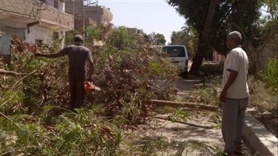 مدينة الزينية بالأقصر تشن حملات نظافة مكثفة لنظافة وتجميل الشوراع.. صور 