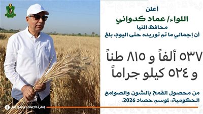 محافظ المنيا: توريد 537 ألف طن قمح.. ورقابة مشددة على منظومة التوريد 