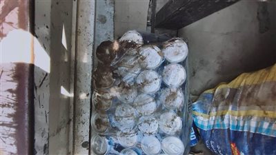 تفاصيل ضبط مصنع غير مرخص لتصنيع المواد الغذائية وحلوى المولد بالشهداء