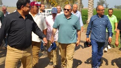 رئيس «البحوث الزراعية» يتفقد محطة بحوث الجميزة لمتابعة البرامج البحثية والإنتاجية المختلفة
