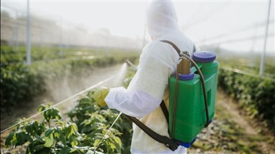 ما علاقة التصلب الجانبي الضموري بالمبيدات الحشرية؟