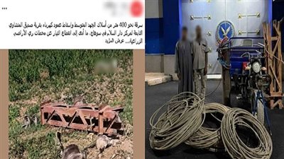 الداخلية تضبط المتهمين بسرقة أسلاك من أعمدة الكهرباء في دار السلام بسوهاج