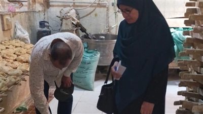 بالصور..حملات تفتيشية على المخابز البلدية بقرى كفر عشما وزاوية الناعورة يالمنوفيةة 