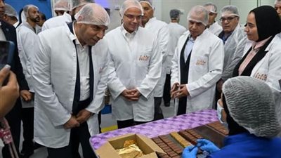 وزيرا الاستثمار والعمل ومحافظ القليوبية