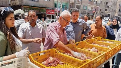 حملات تموينية بالمنيا تضبط 228 مخالفة وتصادر سلعًا منتهية الصلاحية
