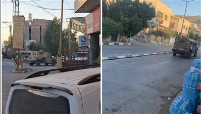 بيت فوريك