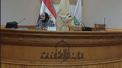 المجلس الاعلي للثقافة 