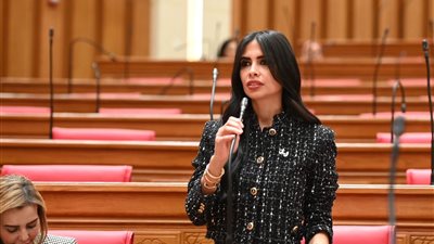 هايدي المغازي