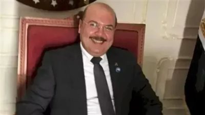 برلماني: الشراكة المصرية الإماراتية بالعلمين تعززقيمة الطاقة