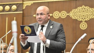 النائب الدكتور إبراهيم عيسى
