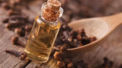 الفوائد الصحية والجمالية لزيت القرنفل.. وكيفية استخدامه
