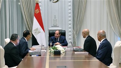 السيسي يبحث تطوير التعليم الجامعي والمستشفيات ويوجه بتطبيق الأجور وحوكمة المصروفات قبل الدراسة
