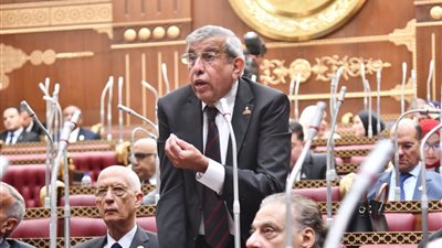 النائب علاء عبد النبي: التحول للدعم النقدي يستلزم ضوابط وحوارًا عبر المجالس النيابية والمحافظات