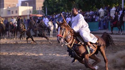 ختام فعاليات «مرماح منشأة العماري» بالأقصر لتقديم العروض الفروسية احتفالًا بالمولد النبوي.. صور