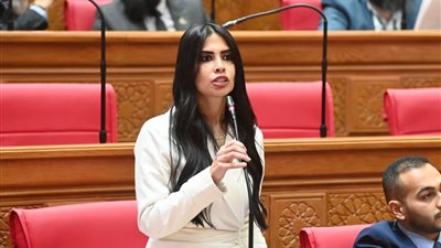 سؤال برلماني يكشف تداعيات التوجيهات الحكومية الأخيرة بزيادة أعداد الطلاب الوافدين بالجامعات المصرية 