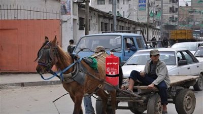 بسبب ارتفاع تراخيص التروسيكل.. 