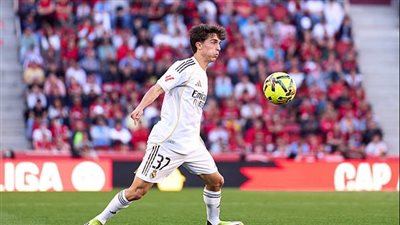 فولهام يحسم اتفاقه مع ريال مدريد لضم مانويل أنخيل