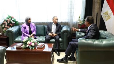 تفاصيل لقاء وزير الصحة مع نقيبي الأطباء والتمريض 