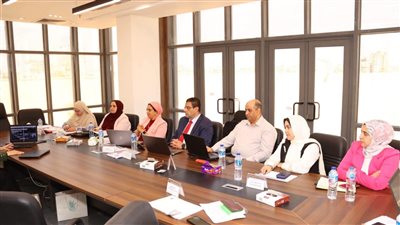 لليوم الثاني.. لجنة لتقييم المشروعات المتقدمة ضمن المبادرة الوطنية للمشروعات الخضراء الذكية بدمياط 