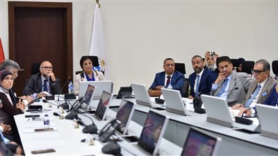 نائب وزير الصحة تعقد مائدة مستديرة حول صحة الأم وحديثي الولادة ورعاية ما حول الولادة
