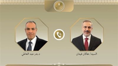 وزيرا الخارجية المصري والتركي يبحثان التطورات الإقليمية