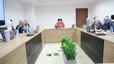 نائب وزير الصحة تتابع تطوير خدمات الرعاية للأم والطفل 
