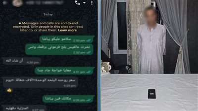 ضبط شخص يدير صفحة على فيسبوك للنصب على المواطنين بزعم بيع الآثار بالمطرية