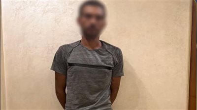 ضبط عاطل لسرقته هاتفي محمول ومبلغًا ماليًا من سائق بالبحيرة