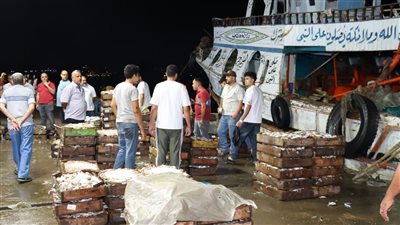 محافظ دمياط يجوب مدينة عزبة البرج ويتفقد حلقة السمك ومصنع الثلج 