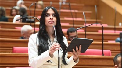 تحرك برلماني عن إجراءات سفر المصريين العاملين والمقيمين في ليبيا وتأخر الموافقات.. تعرف على التفاصيل