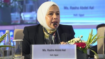 رشا عبد العال رئيس مصلحة الضرائب المصرية 