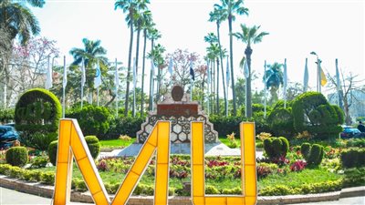جامعة المنصورة تُعلن اعتماد برنامجَي «معلم حاسب آلي» و«الاقتصاد المنزلي» بكلية التربية النوعية