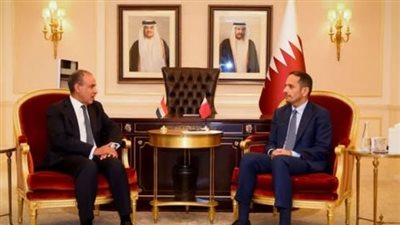  عبدالعاطي ورئيس وزراء قطر يؤكدان أهمية خفض التصعيد بالمنطقة
