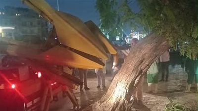 منال عوض تتابع مع محافظ القاهرة جهود نقل شجرة ونقلها لمكان آخر