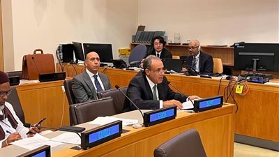 وزير الخارجية يشارك في الاجتماع الوزاري لمنظمة التعاون الإسلامي بنيويورك