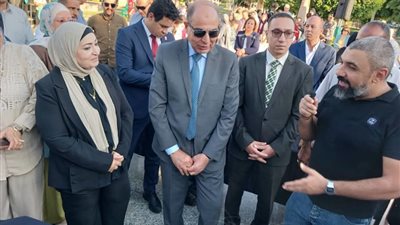 محافظ المنيا