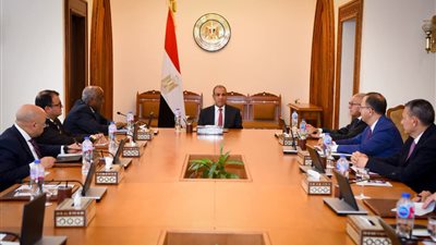 وزير الخارجية يتابع استعدادات استضافة 3 فعاليات أفريقية بمدينة العلمين الجديدة