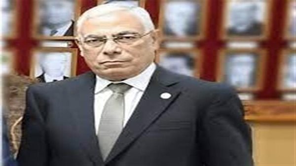 المستشار محمد شوقي