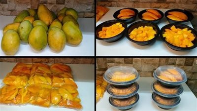 أفضل الطرق لتخزين المانجو وأبرز الأنواع المناسبة 