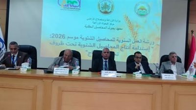 جانب من الورشة 
