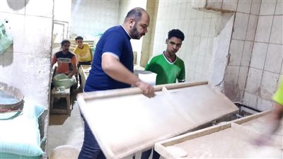 تحرير 321 مخالفة تموينية وضبط سلع غذائية ومبيدات وأدوية غير صالحة بالمنيا 