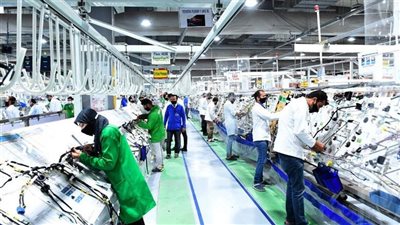 وزارة العمل تعلن تدريبًا ينتهي بالتعيين لـ300 شاب في 3 محافظات