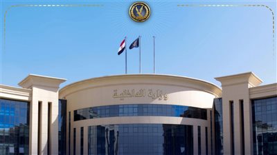 ضبط عنصرين جنائيين بتهمة غسل 20 مليون جنيه متحصلة من الهجرة غير الشرعية