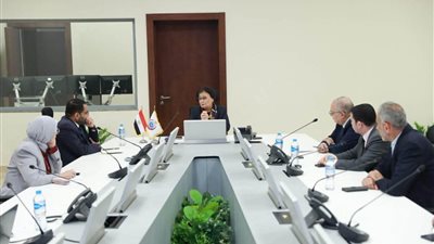 نائب وزير الصحة تترأس اجتماع القومية للأمراض غير السارية