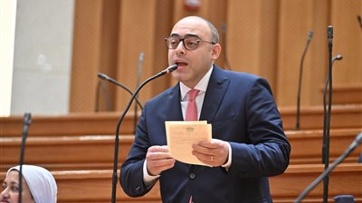 تحرك برلماني عاجل بشأن إزالة وتغيير طبيعة إحدى أكبر المساحات الخضراء بمنطقة زهراء المعادي