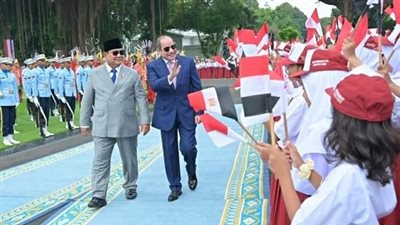 عضو بمجلس الشؤون الخارجية: تحولات العالم تفرض توسيع الشراكات