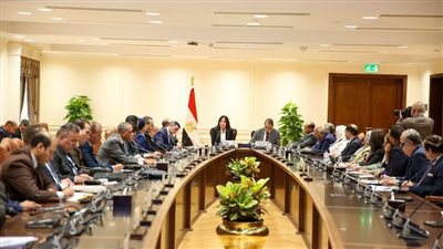 وزيرة الإسكان تطرح ضوابط دمج المدن الجديدة في قانون الإدارة المحلية