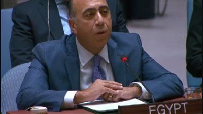 مصر أمام مجلس الأمن: لامبرر للصمت إزاء تأجيج الصراع بالسودان
