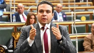 رئيس حزب العدل: أمن مصر والسعودية مترابط ومواجهة التهديدات 
